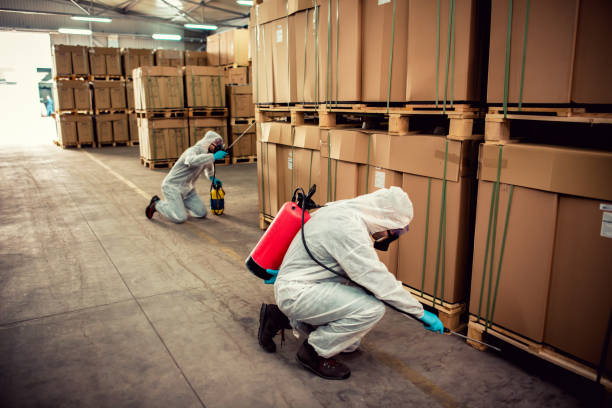 Reliable Edison, GA Pest Control Solutions