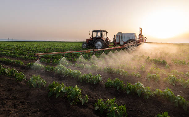 Best Mosquito Control Services  in Edison, GA