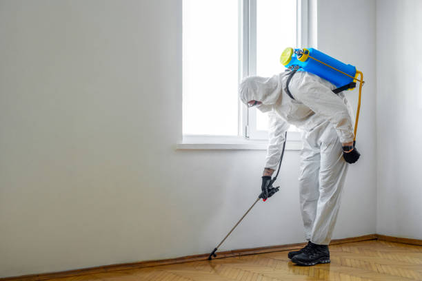 Best Pest Control for Homes  in Edison, GA