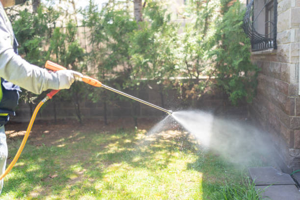 Best Wasp Removal Services  in Edison, GA