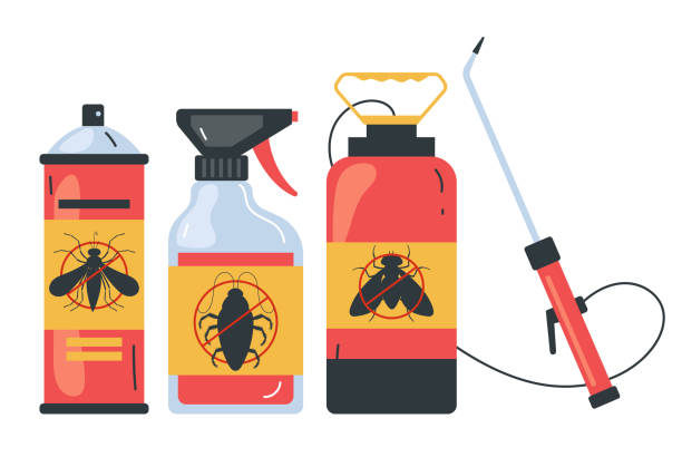 Best Spider Control Near Me  in Edison, GA