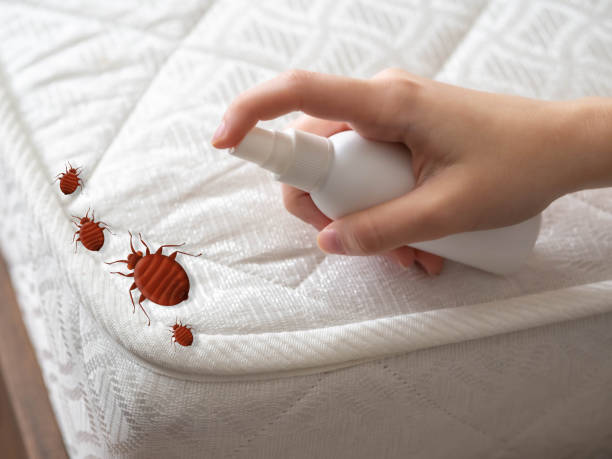 Best Emergency Pest Control  in Edison, GA