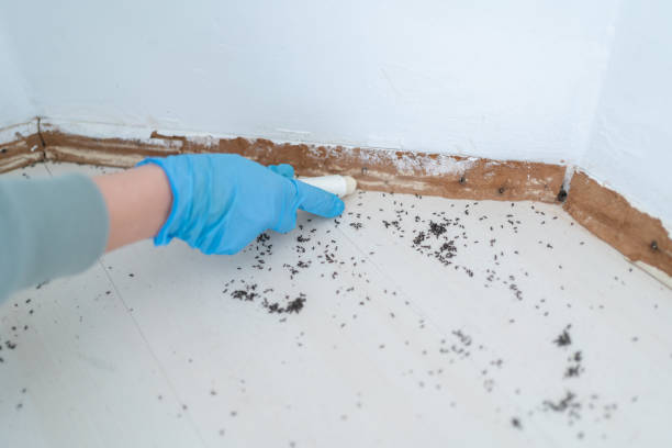 Pest Control Cost in Edison, GA